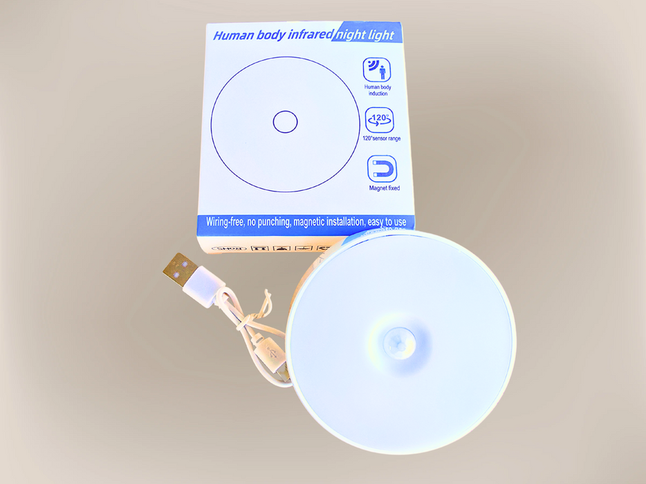 Motion Sensor Light